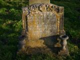 image of grave number 19509